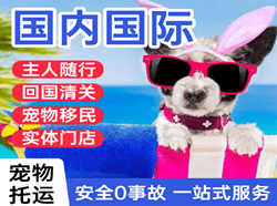锦州空运代理国际宠物托运 【国